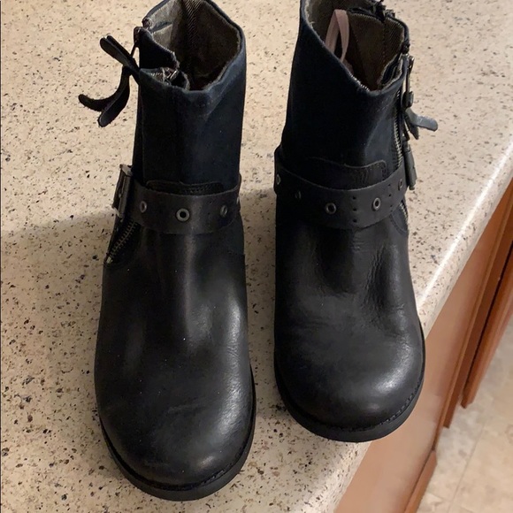 Cat - Picture 2 of 7